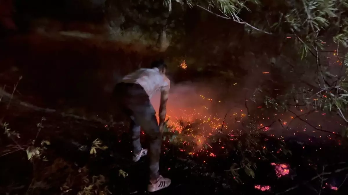 aksuda orman yangininda kundaklama iddiasi FaAzEL8f