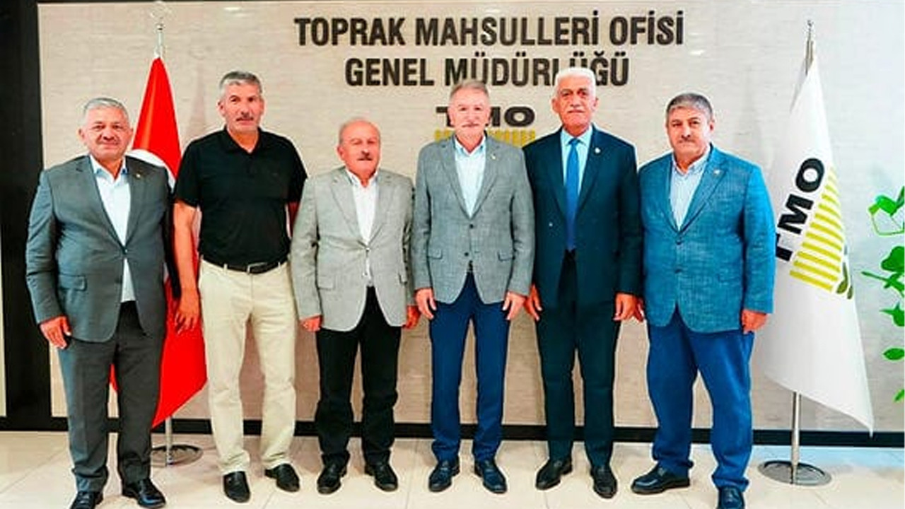 Haber gorseli